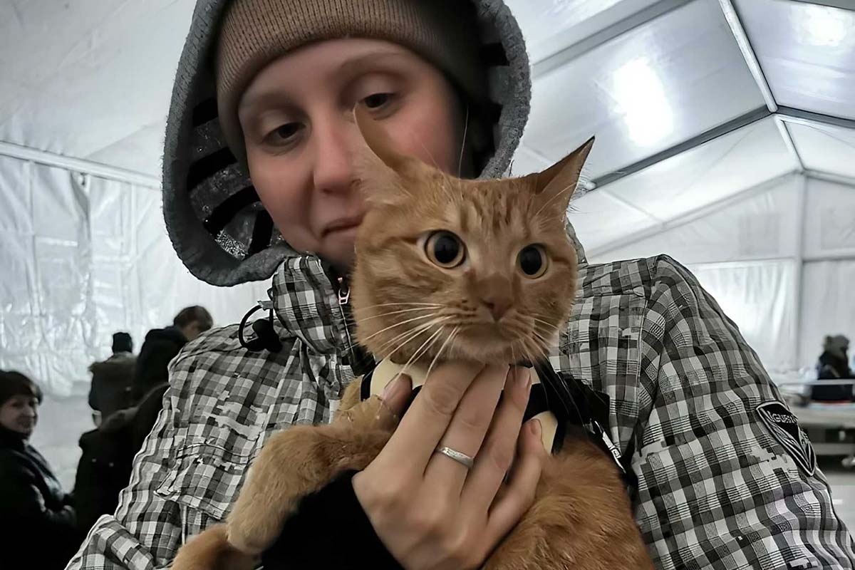 Ukrainian refugee with cat  photo: Greater Good