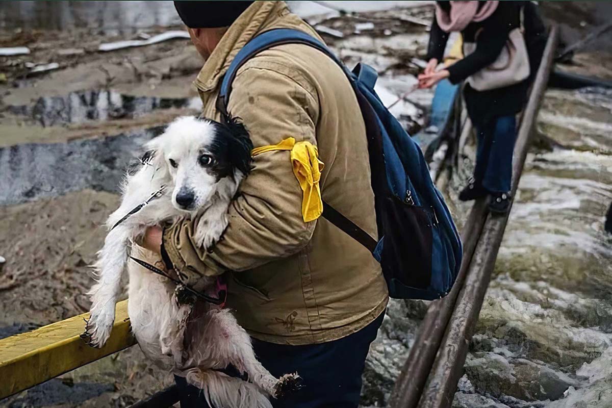 2022 03 25 Ukraine refugee with dog HSI 3x 1200x800