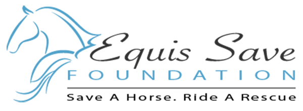 Logo-Black Hills Horse Rescue