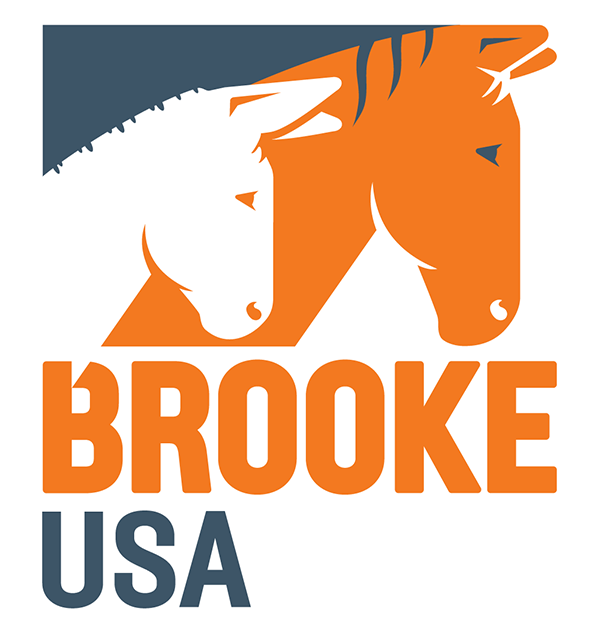 Logo-Brooke USA Horse Rescue