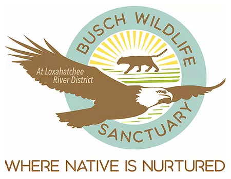 Logo-Busch Wildlife Sanctuary