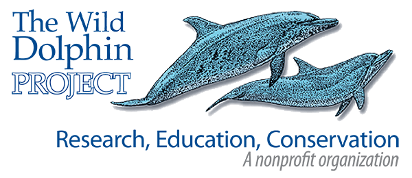 Logo-Wild Dolphin Project